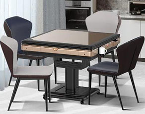 普通牌飞针程序麻将机